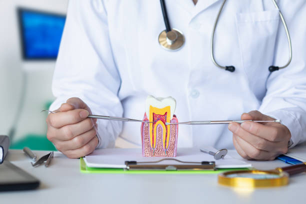 Best Emergency Root Canal Therapy in Scarsdale, NY